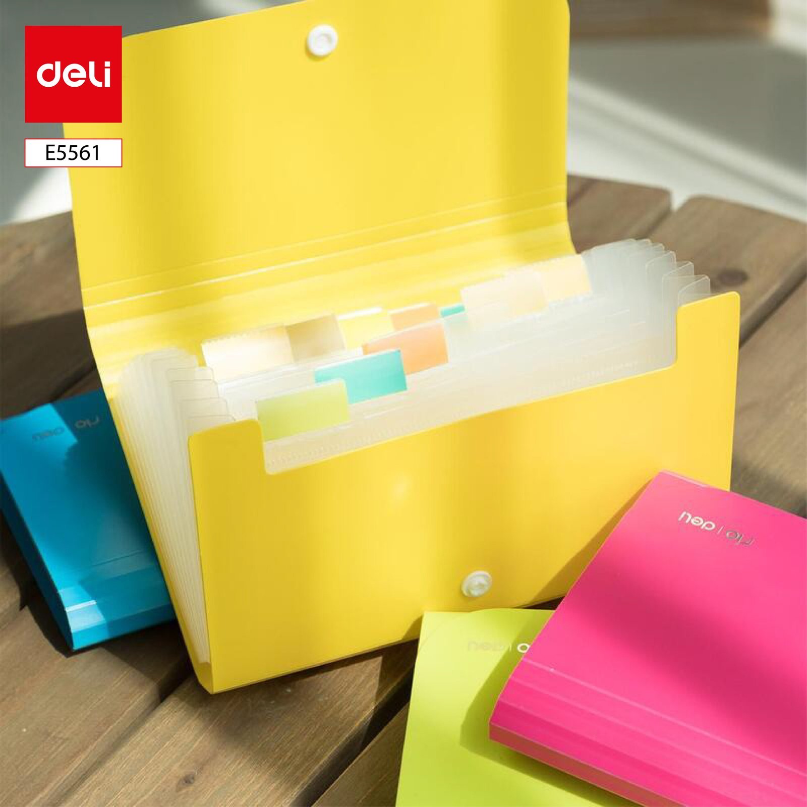 ديلي مصنف حقيبة 13 قسم -E5561