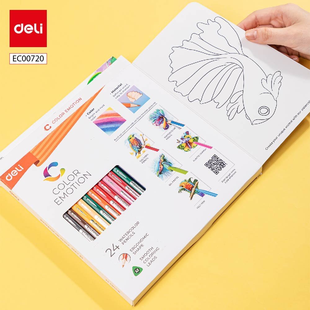 ديلي أقلام تلوين خشب مائي طويل - 24 لون - EC00720