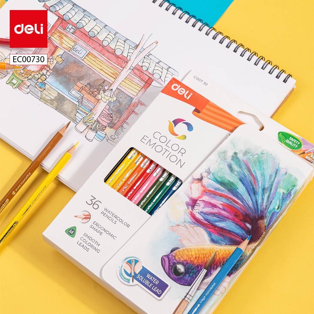ديلي أقلام تلوين خشب مائي طويل - 36 لون - EC00730