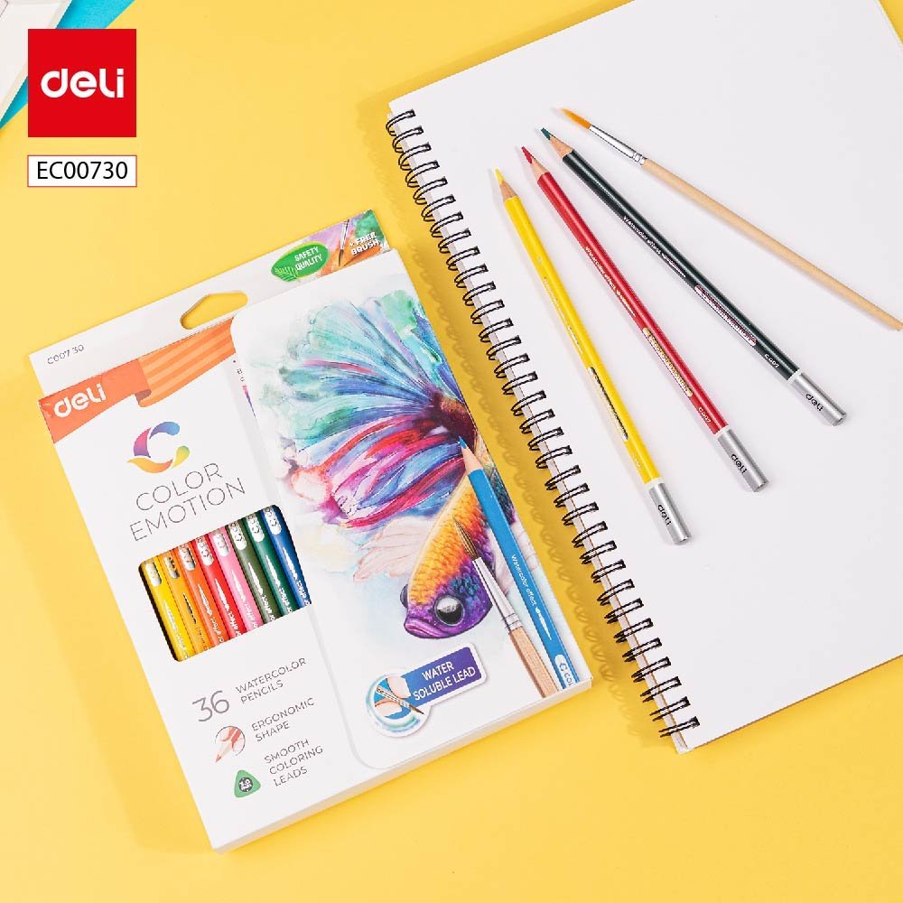 ديلي أقلام تلوين خشب مائي طويل - 36 لون - EC00730