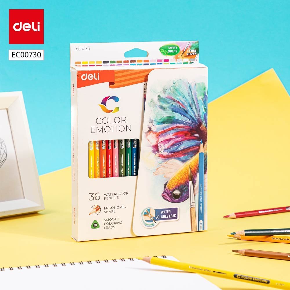 EC00730-2 ديلي أقلام تلوين خشب مائي طويل - 36 لون - EC00730