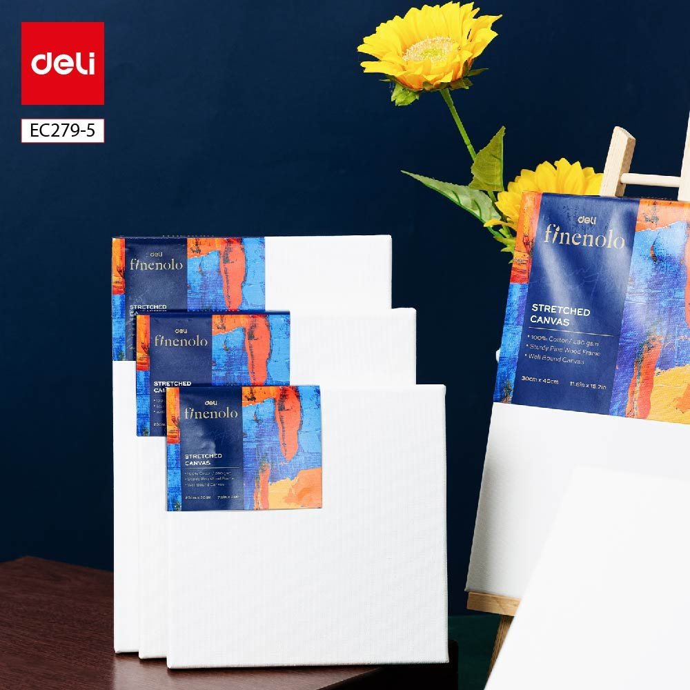 ديلي لوحة قماشية - كانفاس مشدودة - قياس 30*20 سم - 100% قطن - أبيض EC279-5