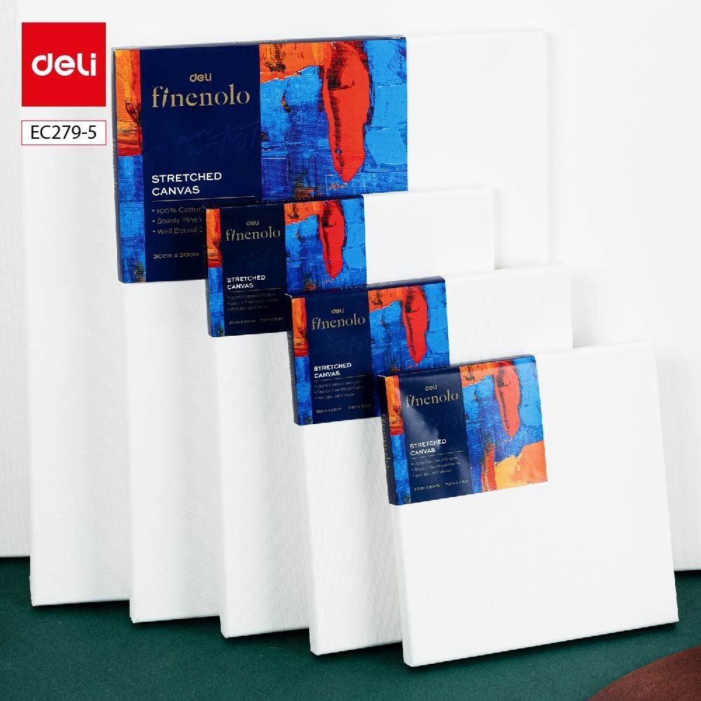 ديلي لوحة قماشية - كانفاس مشدودة - قياس 30*20 سم - 100% قطن - أبيض EC279-5