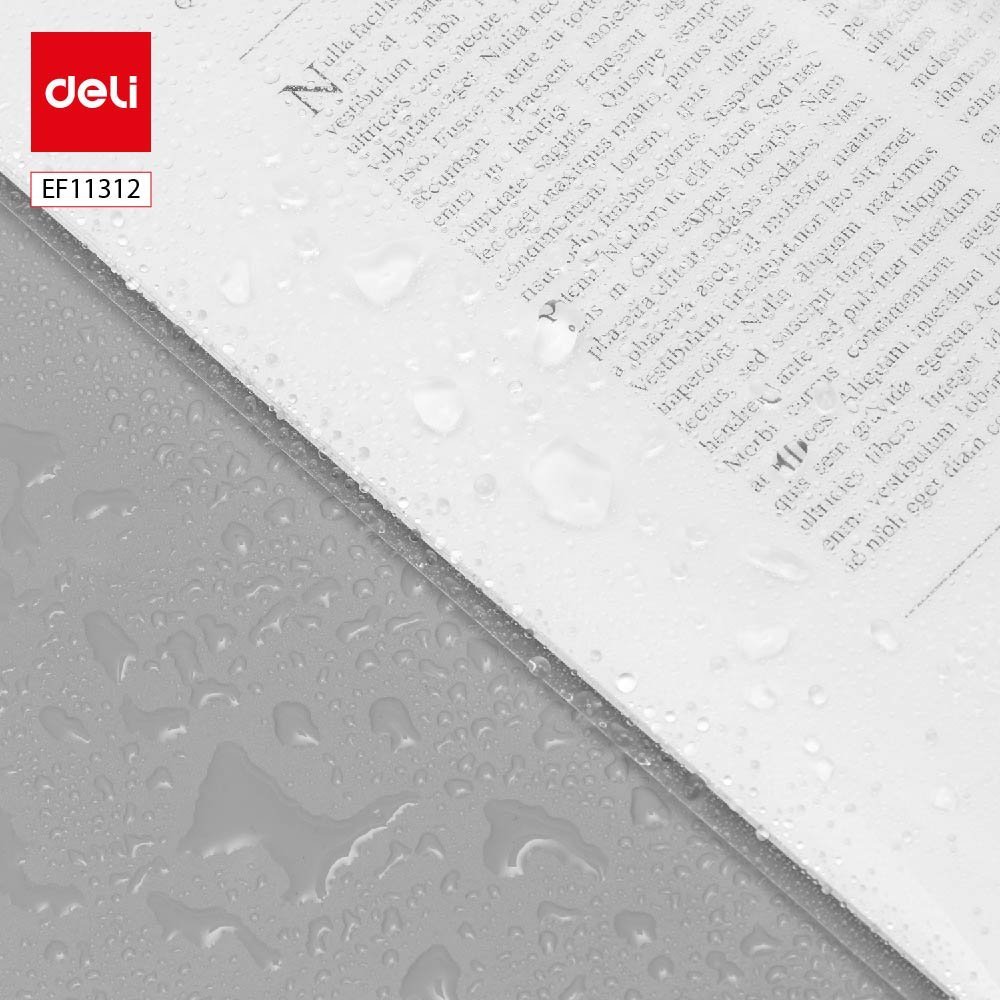 ديلي مصنف كبسة - قياس - FC شفاف - EF11312