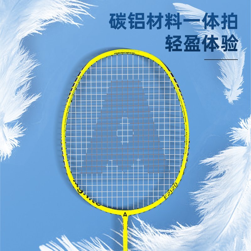 ديلي مجموعة مضرب تنس الريشة - مجموعة 2 مضرب مع ملحقات - كربون - ألوان مختلفة - F2120