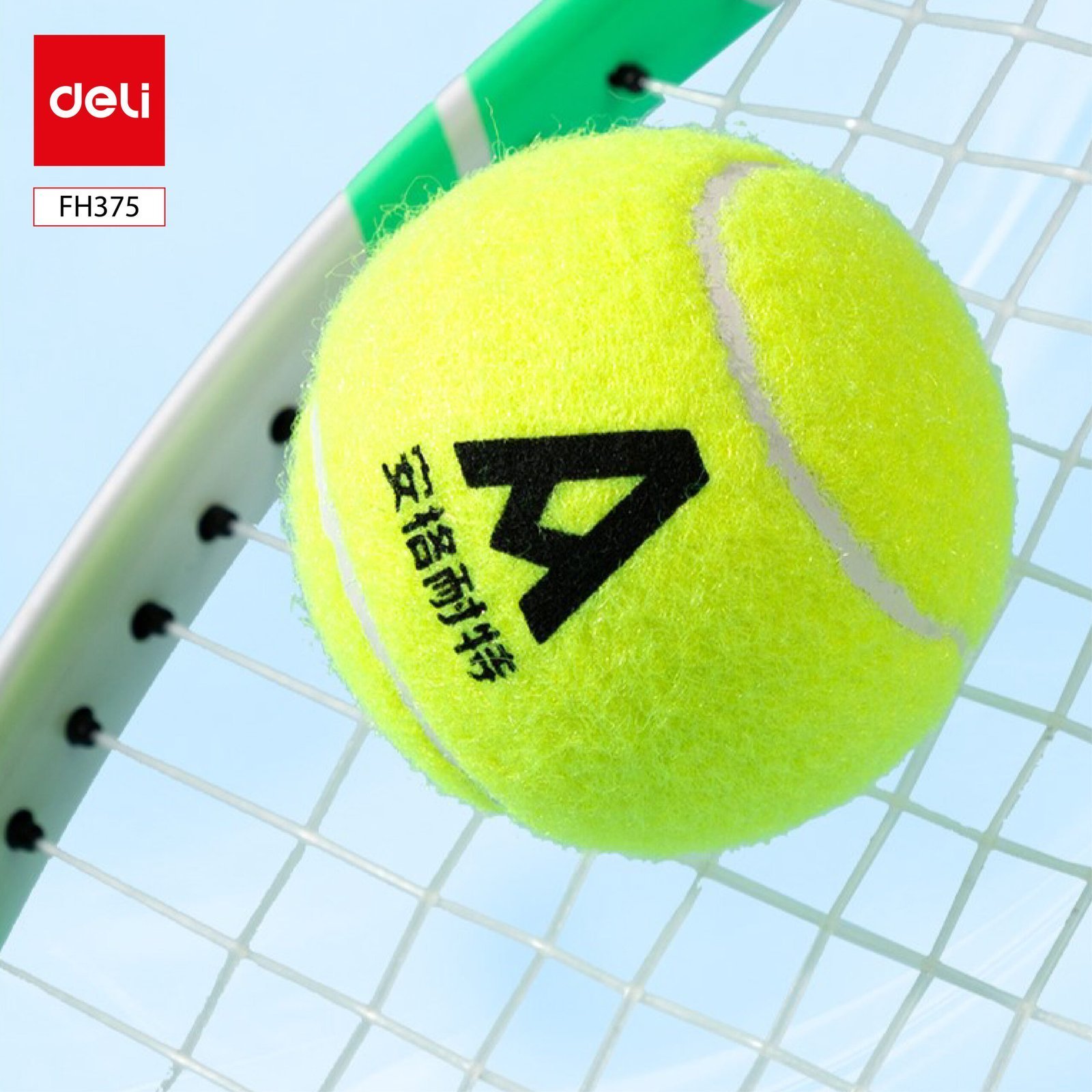 ديلي كرة تنس - مجموعة 3 كرات - FH375