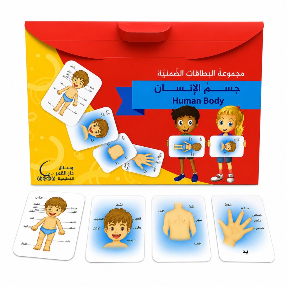 603565 البطاقات الضمنية - جسم الإنسان
